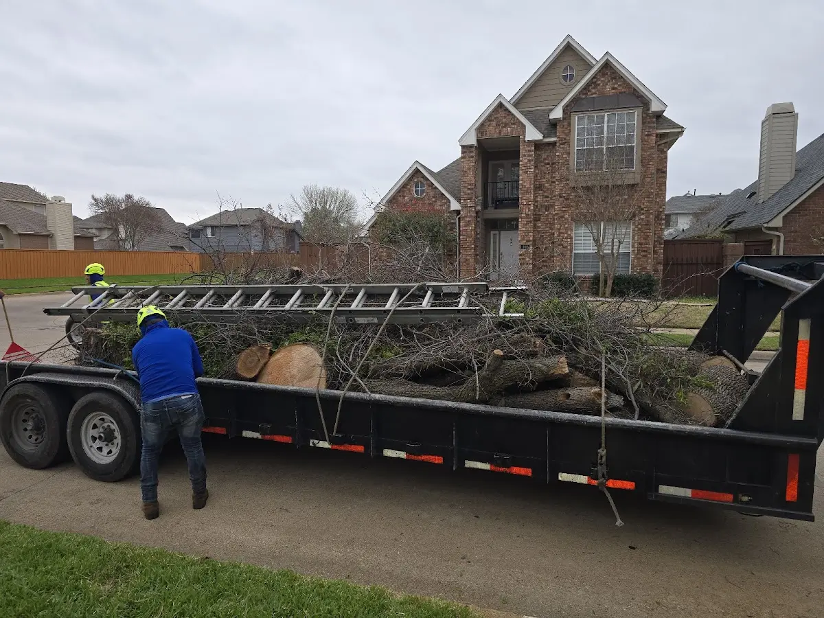 Expert Tree Fertilization with proper safety equipment in Velva